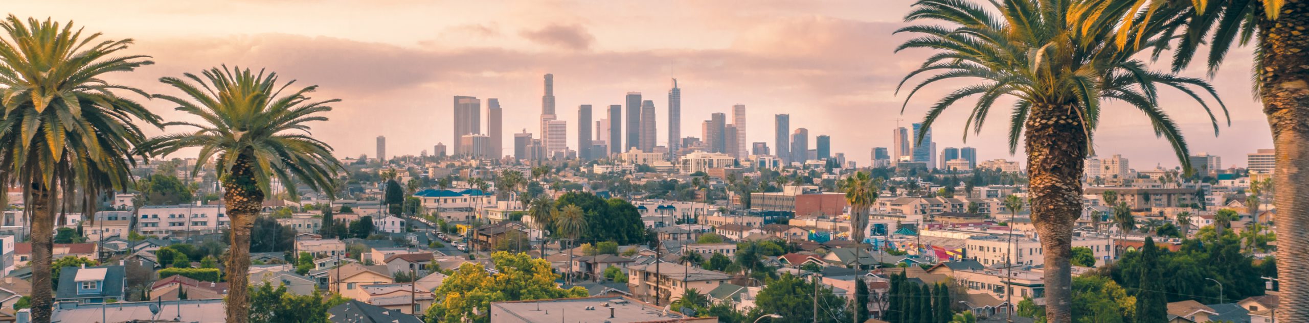 image for Los Angeles Personal Injury Lawyer | California Laws