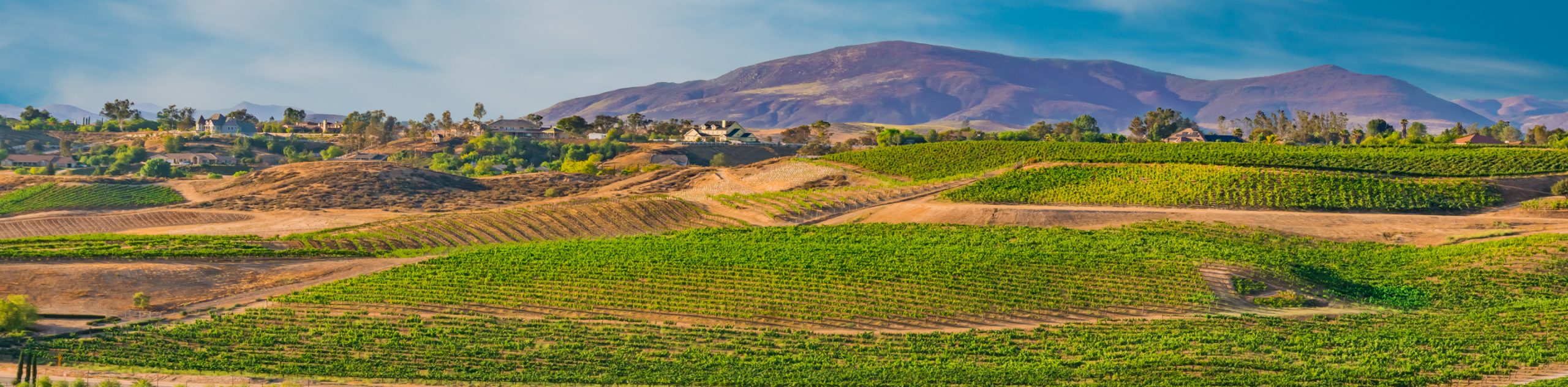 image for Temecula Personal Injury Attorney | California Law